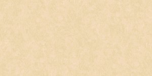 Обои Эрисман Benefit 60100-06 виниловые на флизелиновой основе