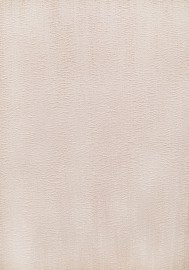 Обои 3514-3 Country Style  (1,06*10,05м) вин.фл.осн.гор.тесн.Эрисманн