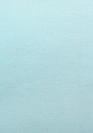 Обои 60125-08 винил.на флиз.осн.гор. тиснение (1,06*10,05м)